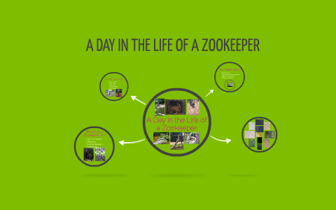 a day in the life of a zookeeper essay