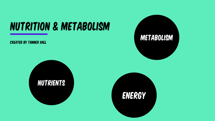 Nutrition & Metabolism by Tanner Hall on Prezi