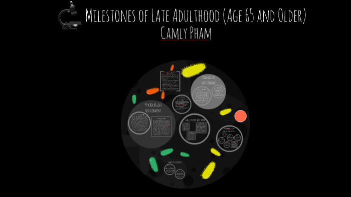 milestones-of-late-adulthood-age-65-and-older-by-camly-pham