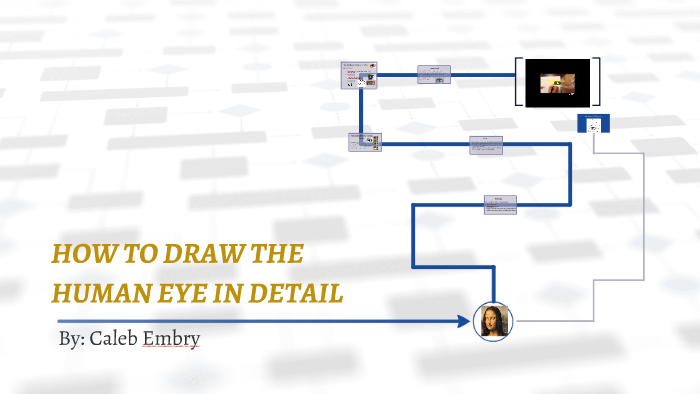 HOW TO DRAW THE by caleb embry on Prezi