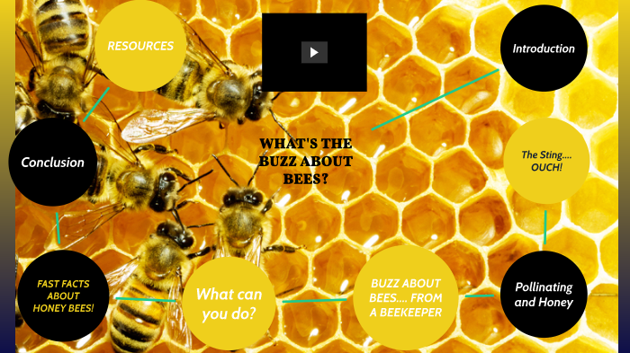 Whats The Buzz About Bees By Emma Walker On Prezi