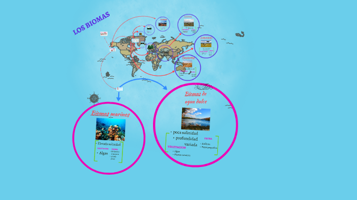 LOS BIOMAS by Judit alvarez on Prezi