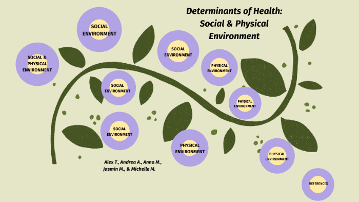 Determinants Of Health Social Physical Environment By Jasmin Mundi 