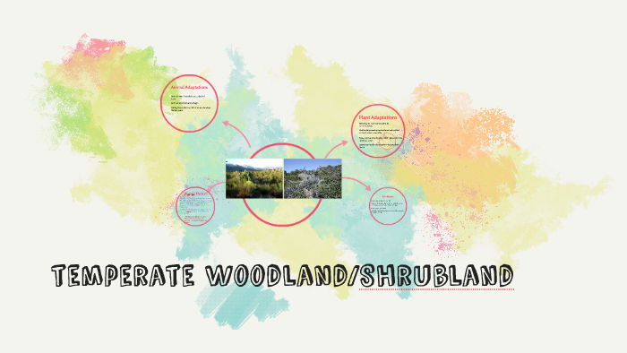 Temperate Woodlandshrubland By Noah Mendez