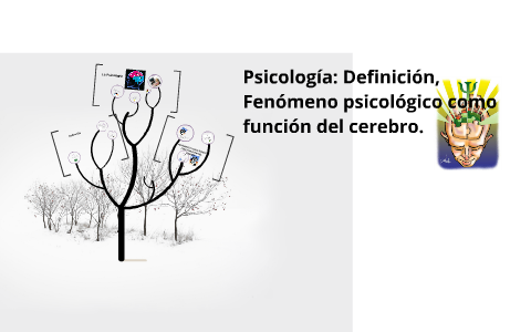 Psicología: Definición, Fenómeno Psicológico Como Función De By Is 