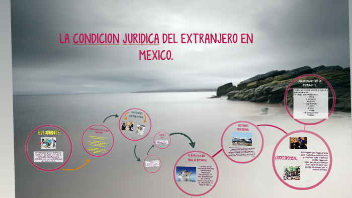 LA CONDICION JURIDICA DEL EXTRANJERO EN MEXICO. by Maria del carmen