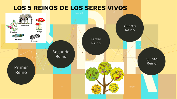 LOS 5 REINOS DE LOS SERES VIVOS by michel lopez davila