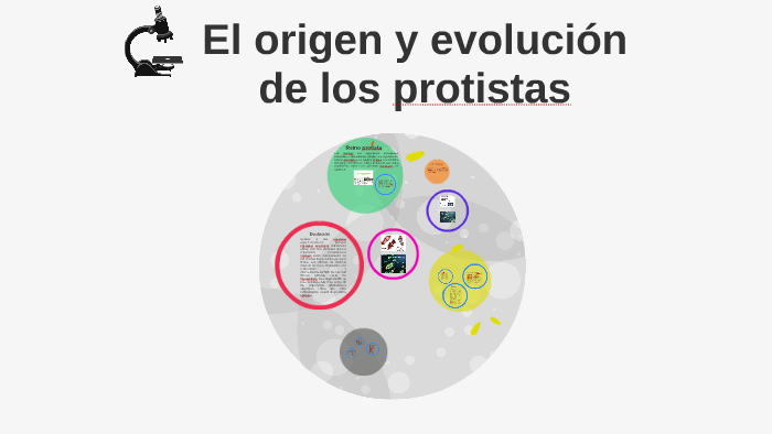 Origen y Evolucion Del Reino Protista by valeria sanchez on Prezi