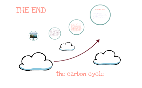 the carbon cycle by Liz Ramos on Prezi