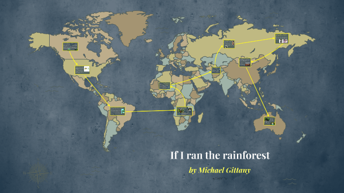 1-what-are-the-different-types-of-rainforests-and-what-are-by