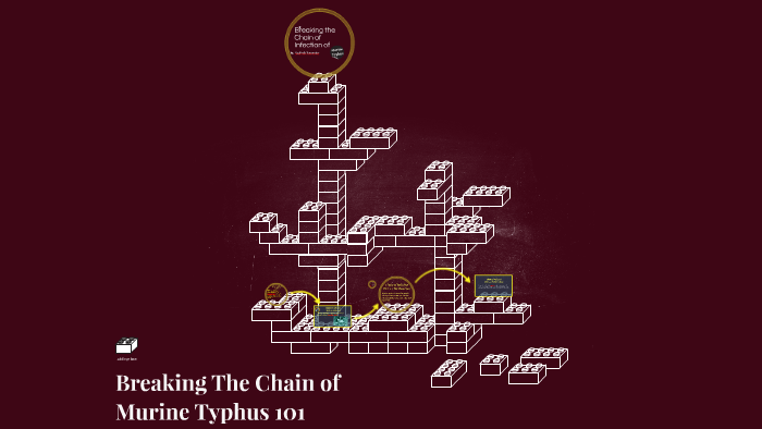 Breaking the Chain of Infection by Nadirah Tavernier on Prezi