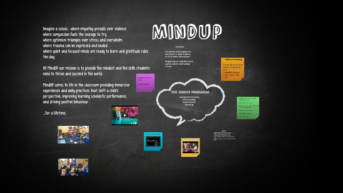 MindUP, Our Projects