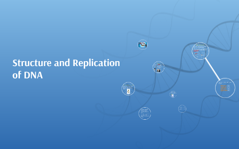 Structure and Replication of DNA by Jonathan Butler on Prezi