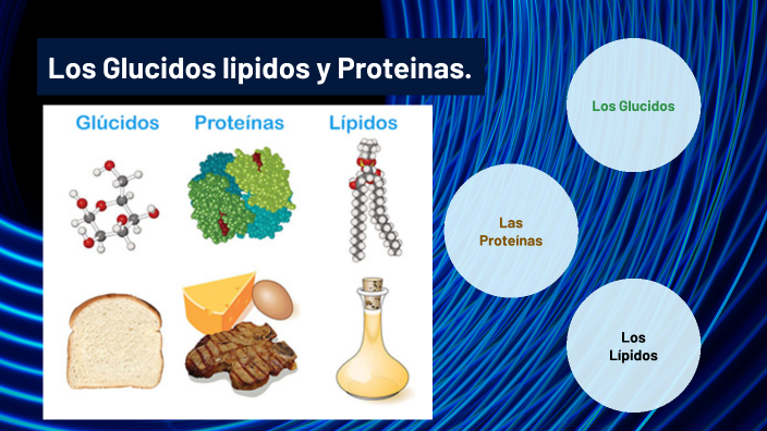 Glusidos, lipidos y proteinas by Ethan Martin López Cáceres on Prezi
