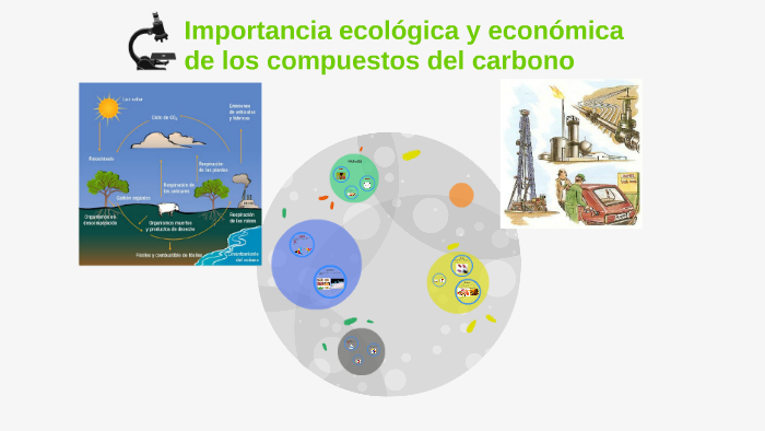 Importancia ecologica y economica de los compuestos del carb by Gera