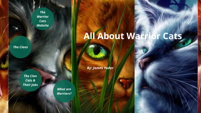 Our Work - Warrior Cats Website