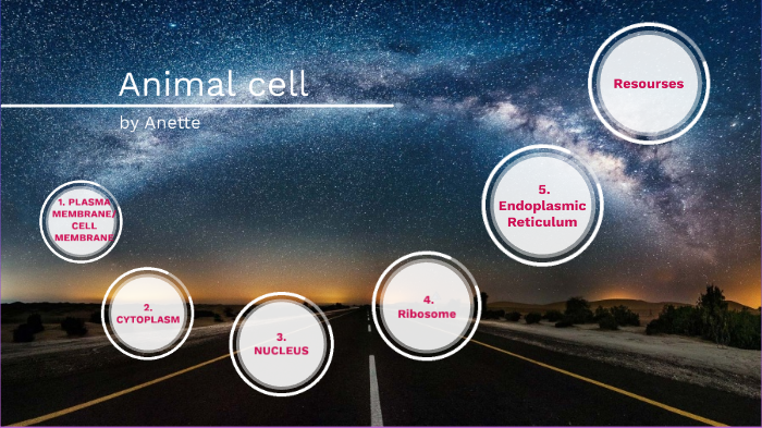 Animal cell by Anette Ibarra-alvidrez on Prezi