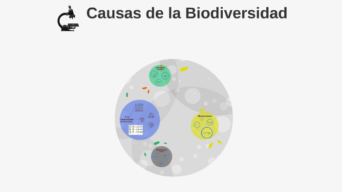 Causas de la Biodiversidad by emilia altamirano on Prezi