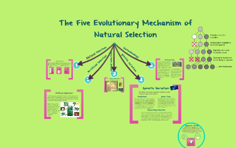 5 mechanism of evolutionary