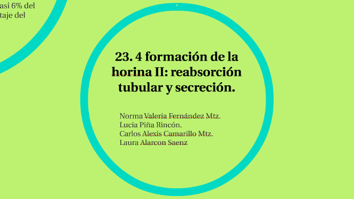 reabsorción de calcio en la diabetes del túbulo proximal