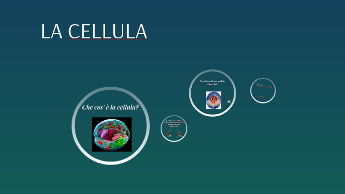 La cellula (con video) by Giovanni Tammaro on Prezi
