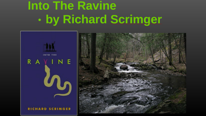 Into the Ravine by Richard Scrimger Into the Ravine by Richard Scrimger