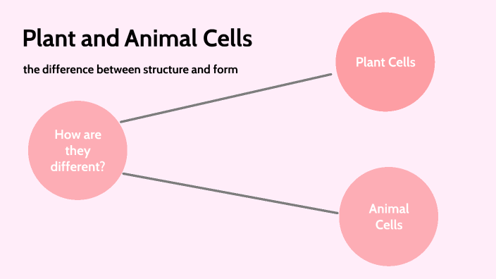 Plant and Animal Cells by Emma McFadden on Prezi