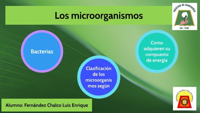 Los microorganismos by Luis Fernandez Chalco
