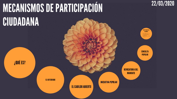 Mecanismos De Participación Ciudadana By Snella Arias On Prezi