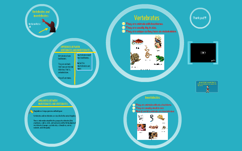 Vertebrates and Invertebrates. by karan ratra on Prezi