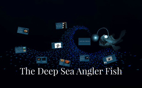 The Deep Sea Angler Fish by Danielle Galvan on Prezi