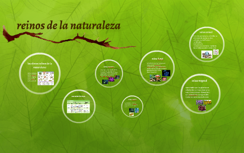 reinos de la naturaleza by Dahi Millan on Prezi