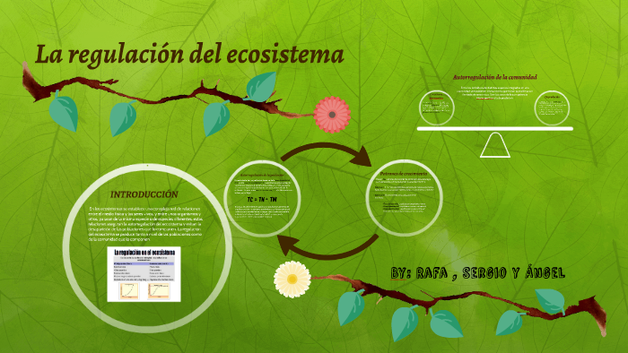 La regulación del ecosistema by Rafael Ruiz Sánchez on Prezi