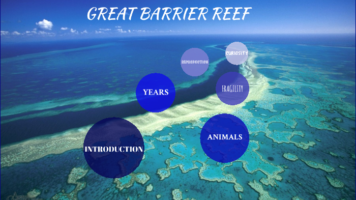 The great barrier reef by marisol panari on Prezi