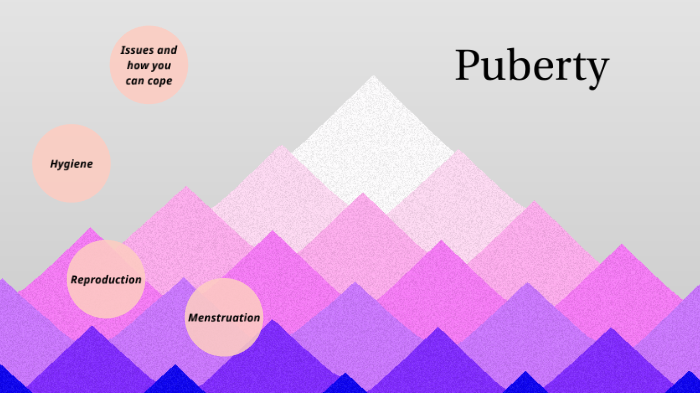 Puberty by Phoenix Lay-Yee on Prezi