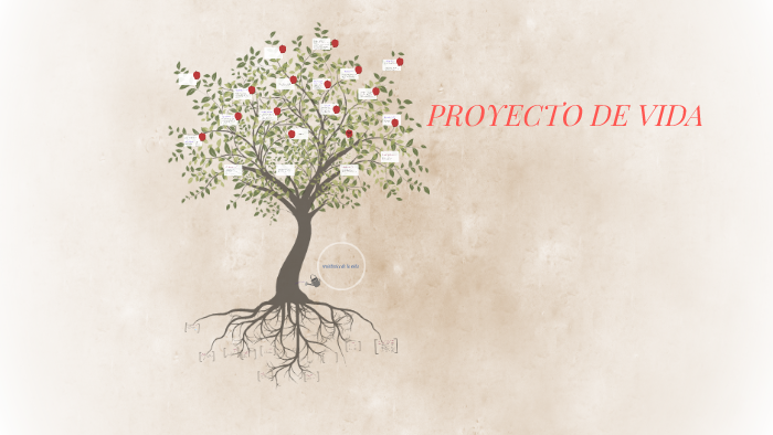 PROYECTO DE VIDA by Alejandra Romero Molina on Prezi