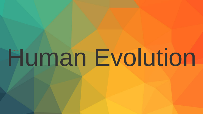 Human Evolution by Jay Suckling on Prezi