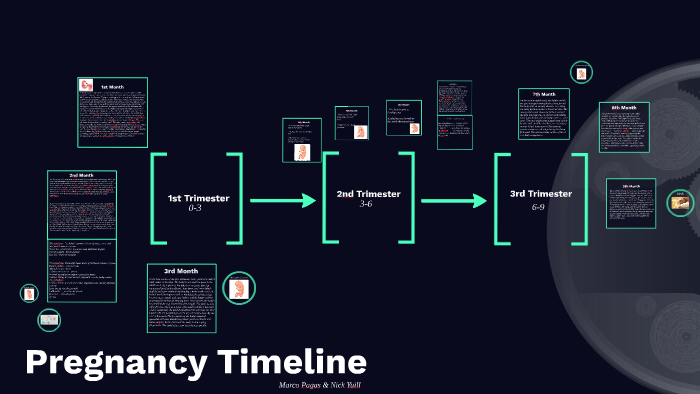 Pregnancy Timeline by marco pagas on Prezi