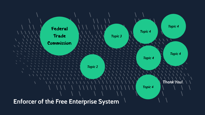 enforcer-of-free-enterprise-system-by-jana-shields