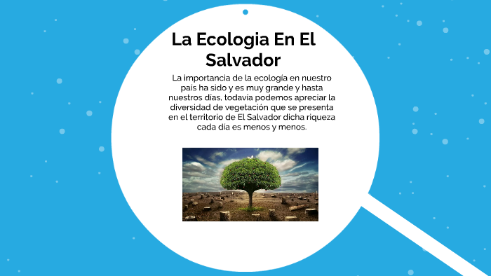 Ecología En El Salvador. by Moises Neftali Torres Nufio