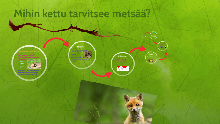 kettu by nicol potrykus on Prezi Next