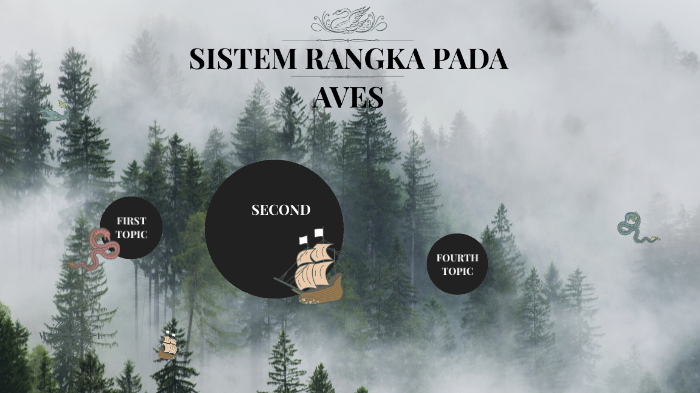 Sistem Rangka Aves By Andi Saputra Andi On Prezi