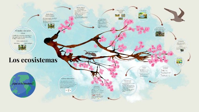Los ecosistemas by Mari Lorente on Prezi