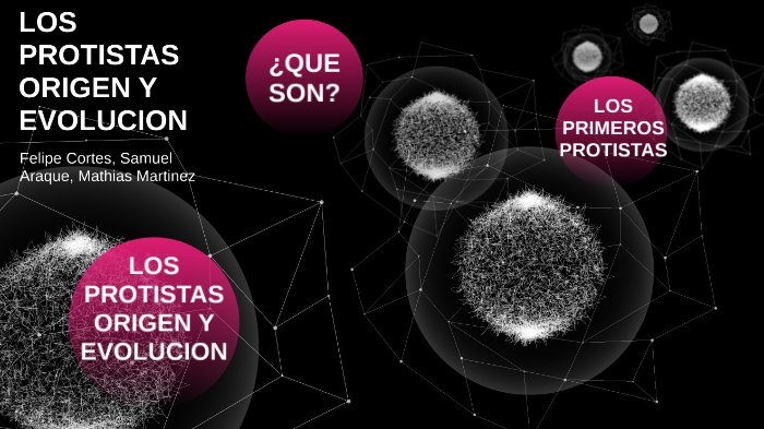 Origen y evolucion de los Protistas by Juan Felipe Cortes Poveda on Prezi