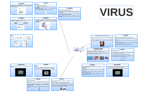 Características morfológicas by Jacqueline Agudelo Chaparro on Prezi