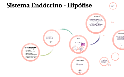 Sistema Endócrino - Hipófise by Julianne Sales