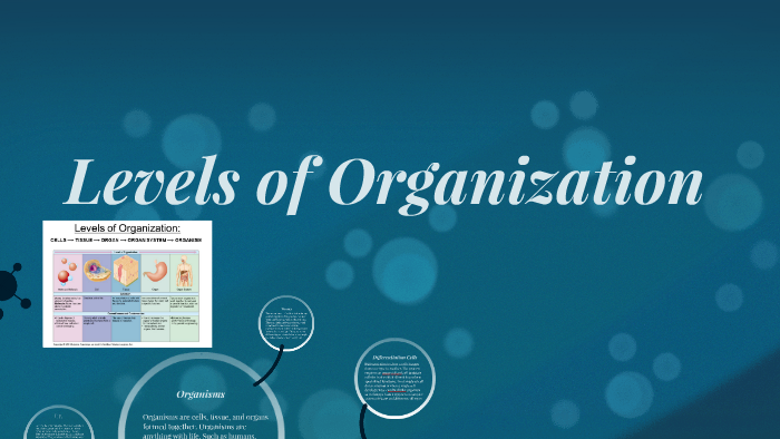 Levels of Organization by Jessica Rivas on Prezi