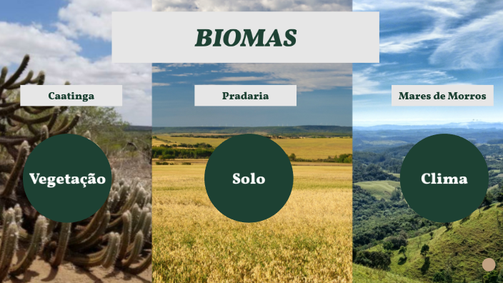 Biomas - Geo & Bio by Beatriz Almeida on Prezi