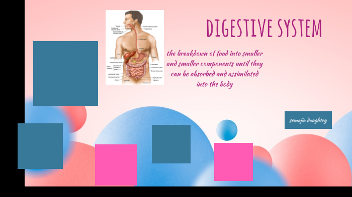 the digestive system by semajia daughtry on Prezi