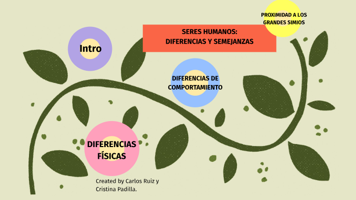 Semejanzas Entre Seres Vivos